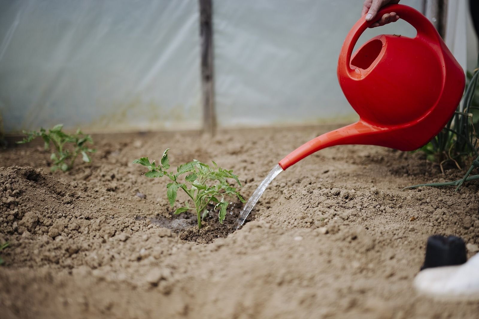Drip Irrigation vs. Soaker Hoses: Which Is Better for Your Garden?