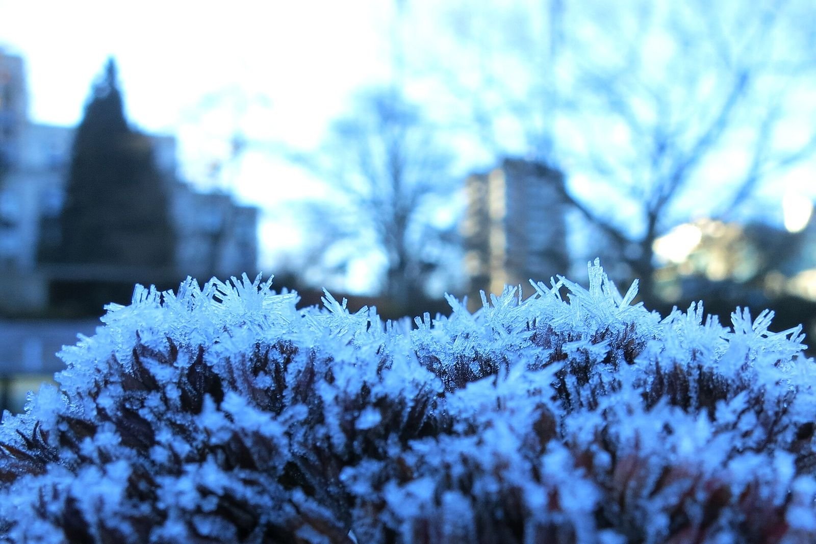 Preparing Your Garden for Winter: A Fall Cleanup Checklist